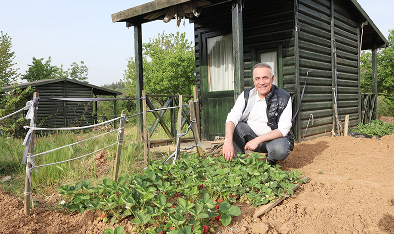 MİMAR SİNAN ŞEHİR ORMANLARI