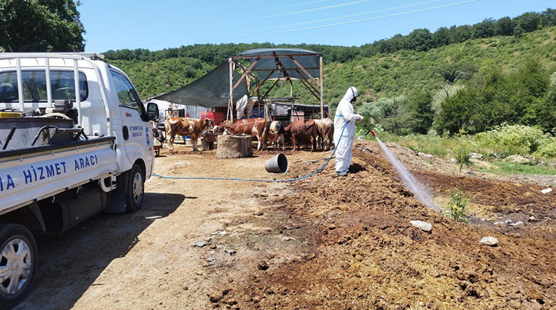 Kurban satış alanları ilaçlanıyor