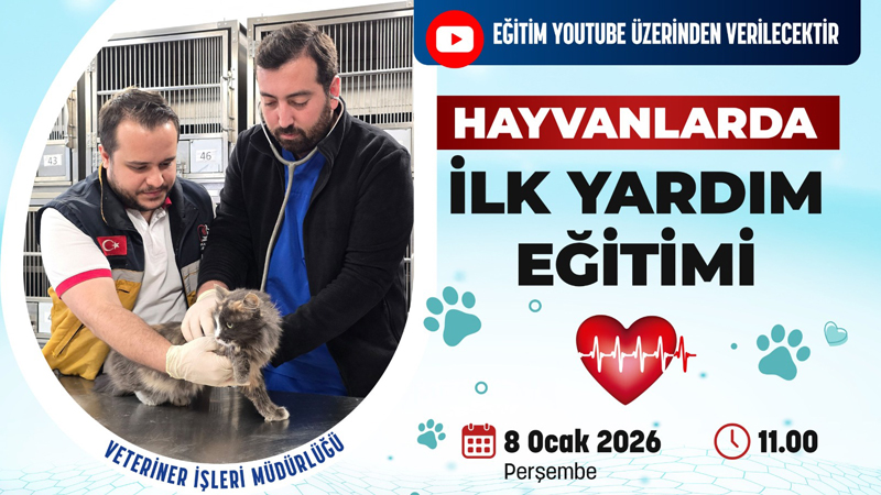Patili dostlar için hayat kurtaran eğitim