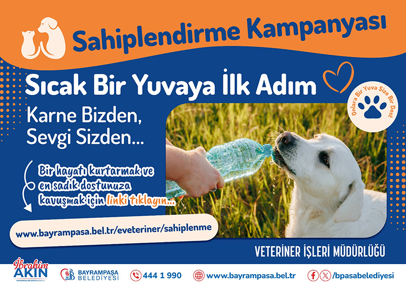 Can dostlar yuvalarını bekliyor