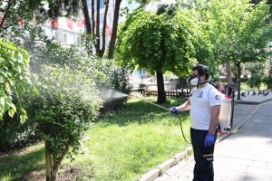 Bayrampaşa’da sineklere geçit yok