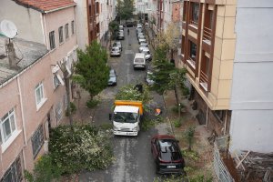 Bayrampaşa'nın yeşil dokusu için çalışmalar devam ediyor